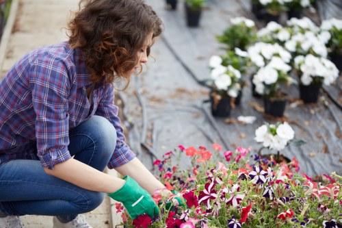 Team trimming hedges in Fitzrovia with green waste visible