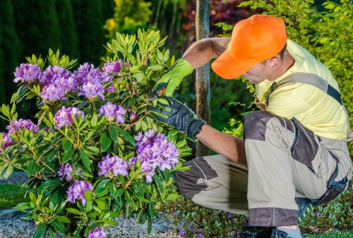 Team starting hedge trimming job in Fitzrovia terrace garden with equipment on pavement
